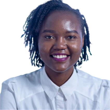 Synergetic Consulting Team-Technical Team